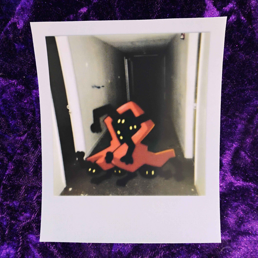Ghostie Goos Polaroid Print